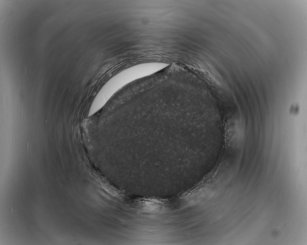 X0000098230229200805081230