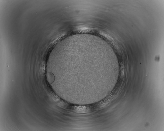 X0000098230230200805081230