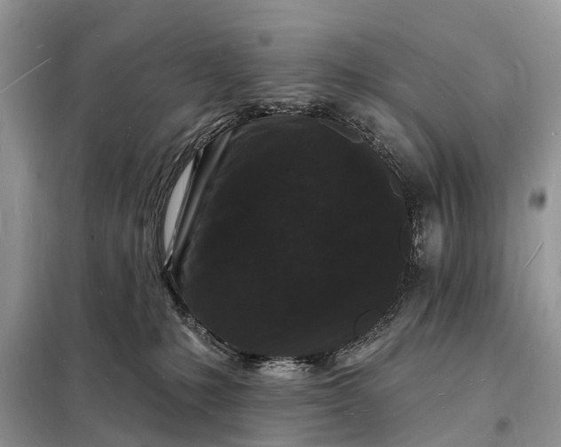 X0000098230231200805081230