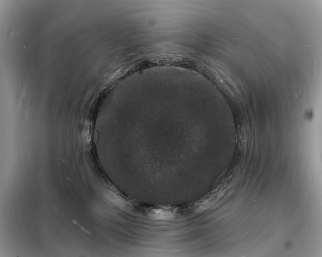 X0000098230232200805081230