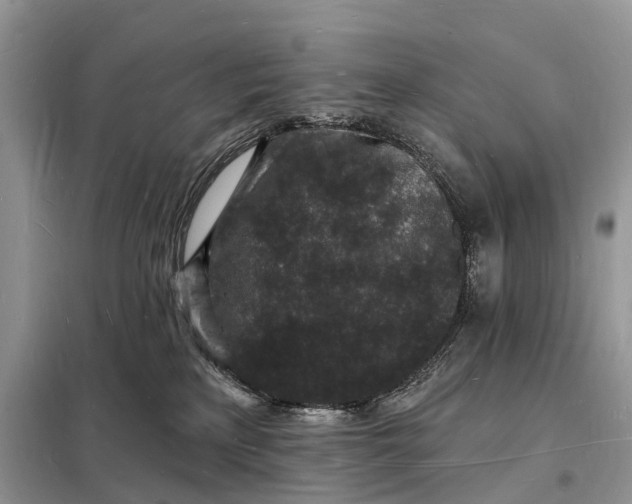 X0000098230233200805081230