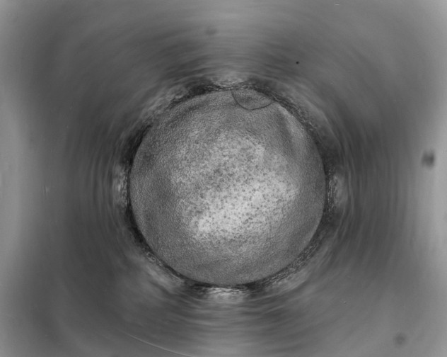 X0000098230234200805081230