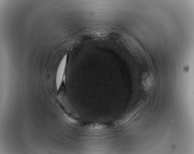 X0000098230235200805081230