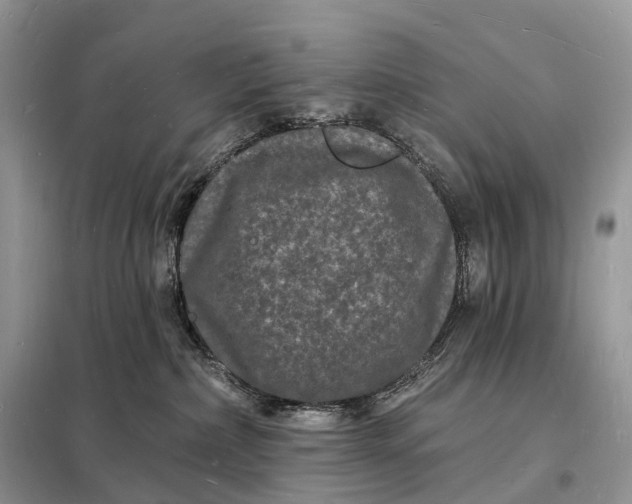 X0000098230236200805081230