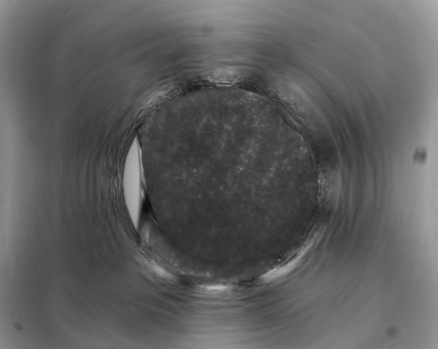 X0000098230237200805081230