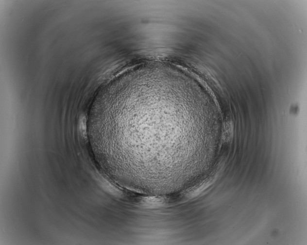 X0000098230238200805081229