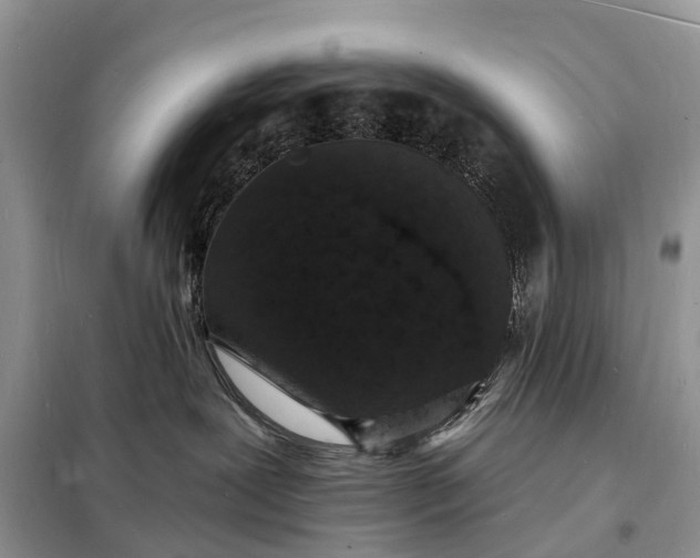 X0000098230239200805081229