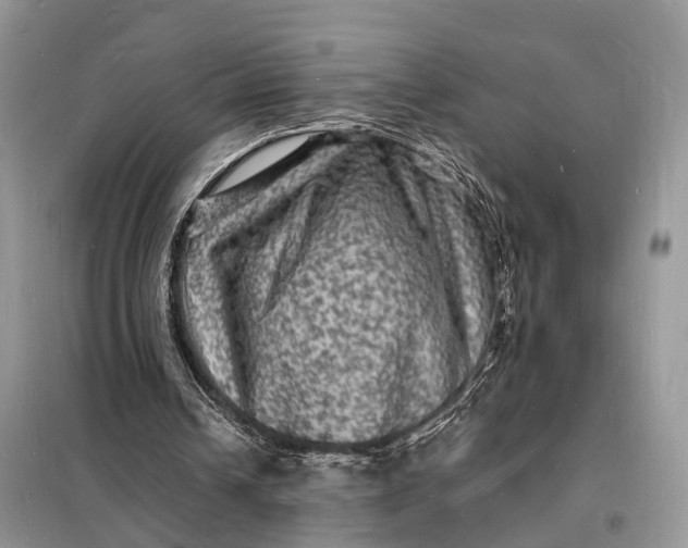 X0000098230242200805081229