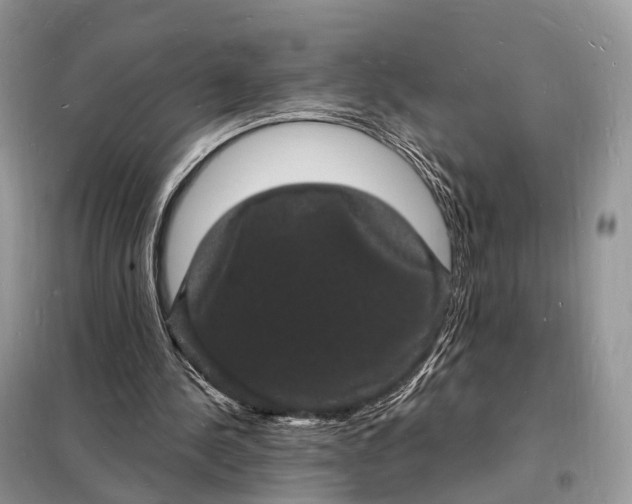 X0000098230244200805081229