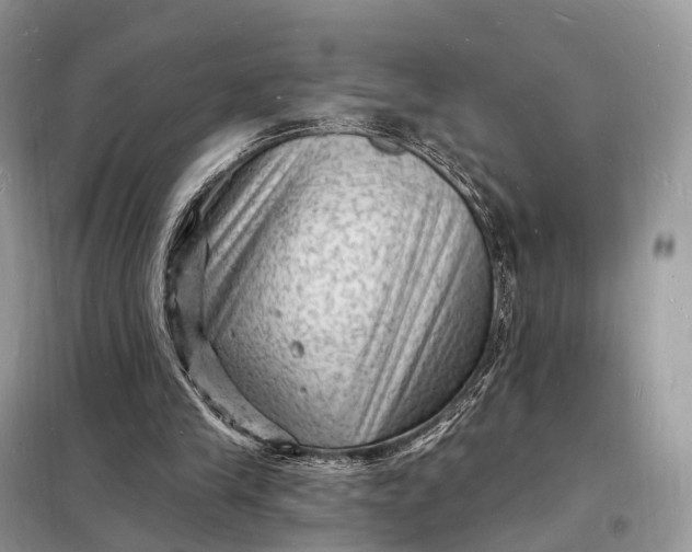 X0000098230245200805081229