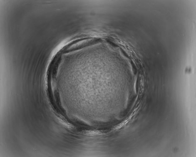 X0000098230246200805081229