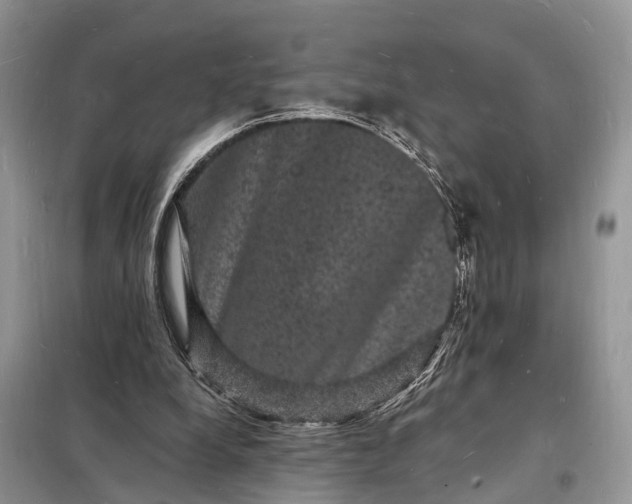 X0000098230248200805081229