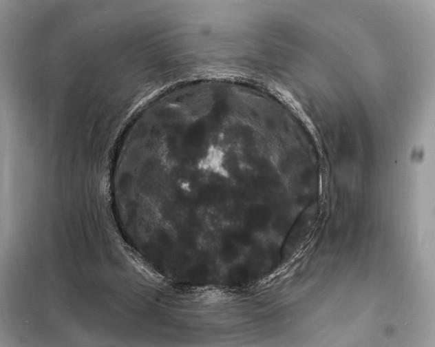 X0000098230249200805081229