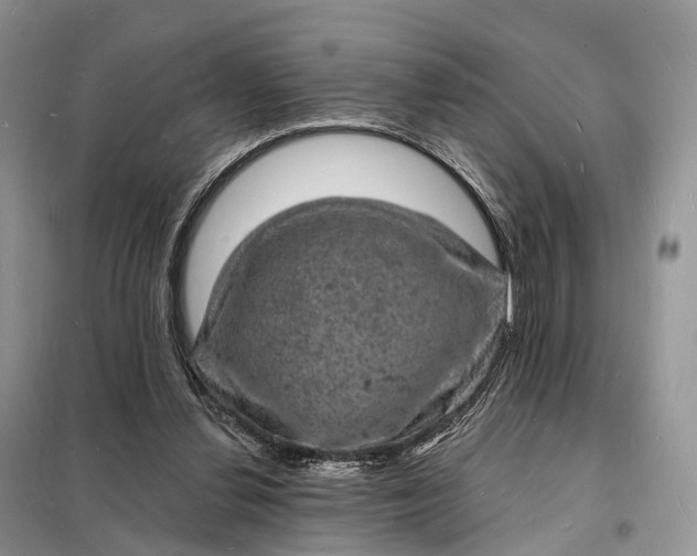 X0000098230252200805081229