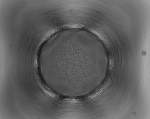 X0000098230254200805081229