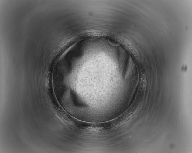 X0000098230255200805081229