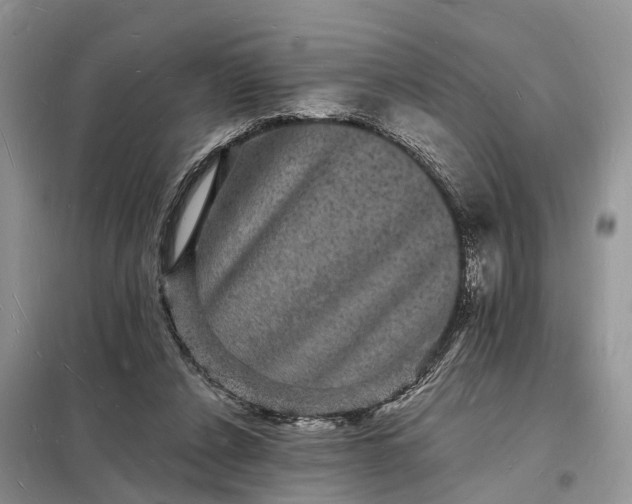 X0000098230256200805081229