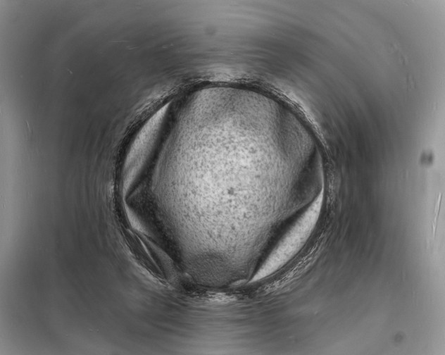 X0000098230257200805081229