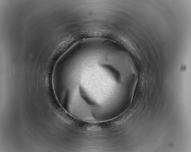 X0000098230258200805081229