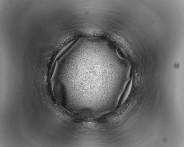 X0000098230259200805081229