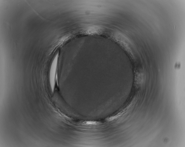 X0000098230260200805081229