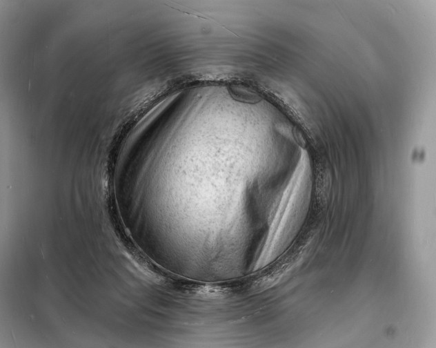 X0000098230261200805081229