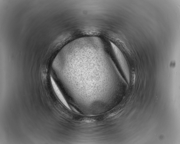 X0000098230263200805081229