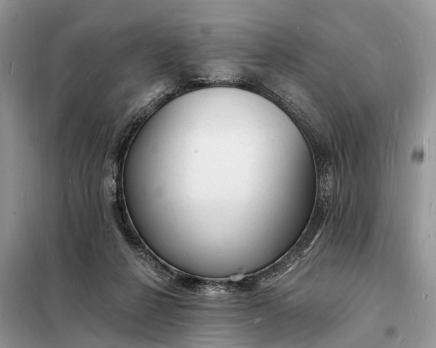 X0000098230264200805081229