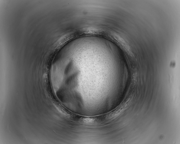 X0000098230265200805081229