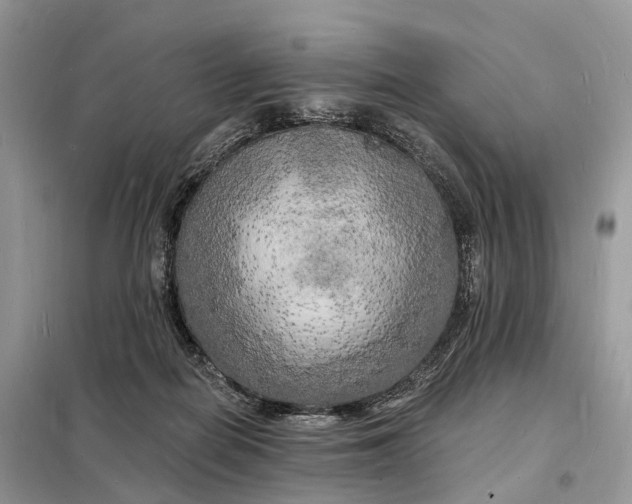 X0000098230266200805081229