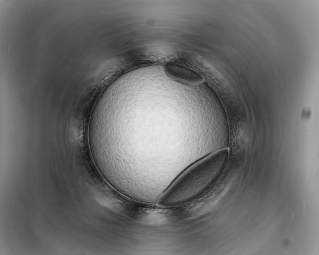 X0000098230268200805081229