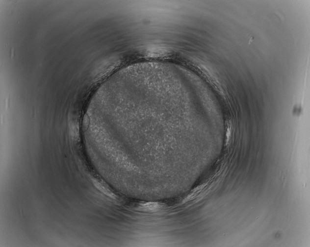 X0000098230269200805081229