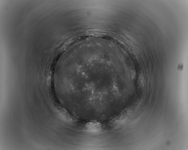 X0000098230271200805081229