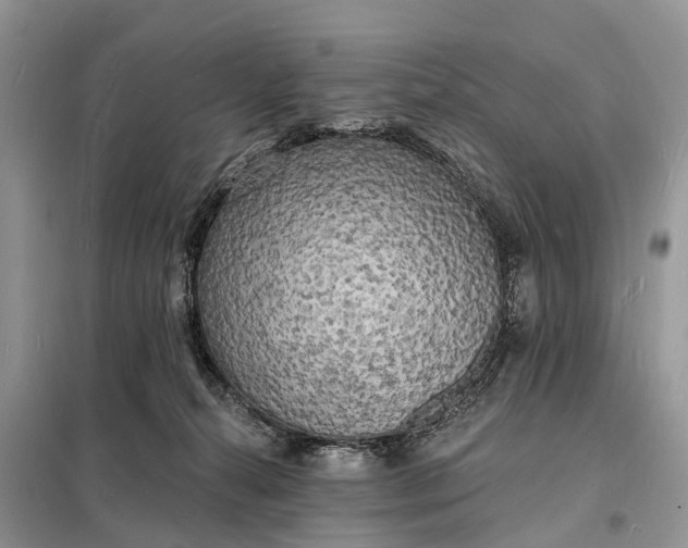 X0000098230272200805081229