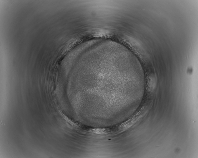 X0000098230273200805081229