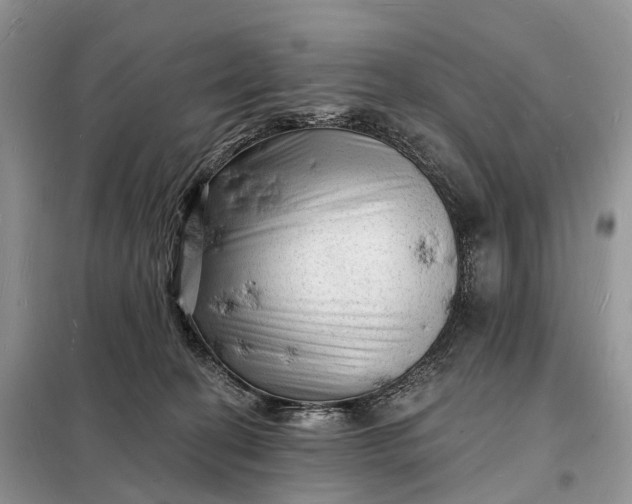 X0000098230274200805081229