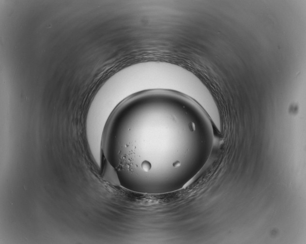 X0000098230276200805081229