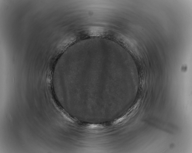 X0000098230277200805081229