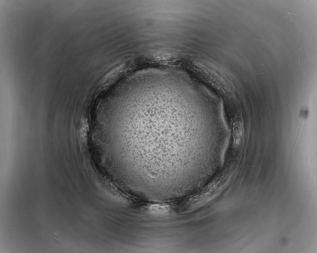 X0000098230279200805081229