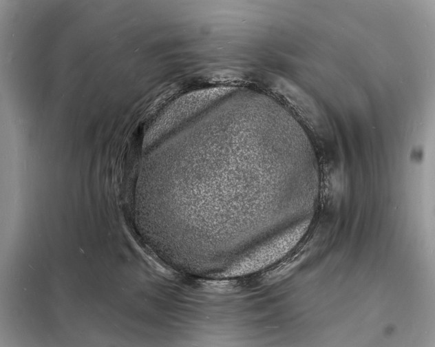 X0000098230281200805081229