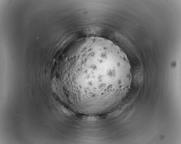 X0000098230282200805081229