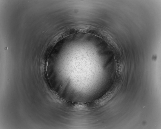 X0000098230283200805081229