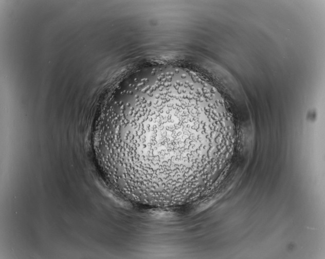 X0000098230284200805081229