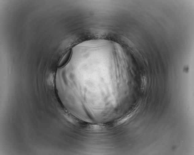 X0000098230286200805081229