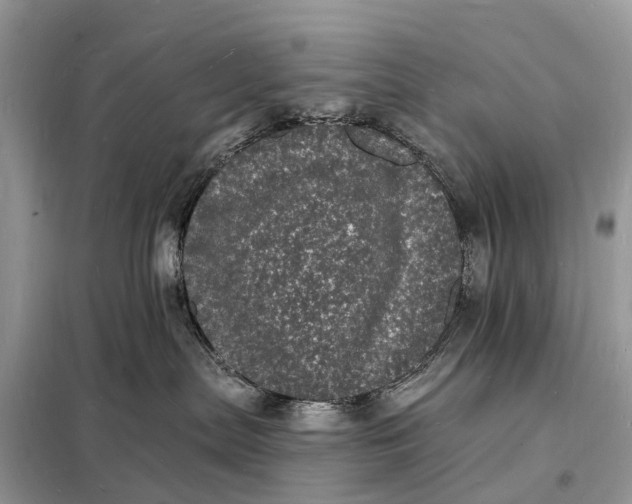 X0000098230287200805081229