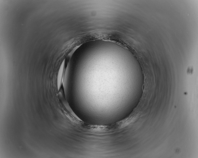 X0000098230288200805081229