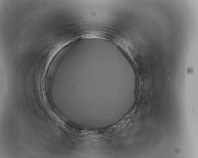 X0000098230289200805081229