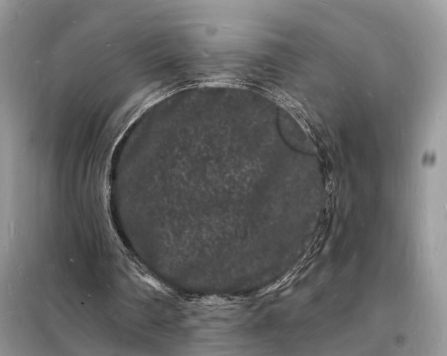 X0000098230290200805081229