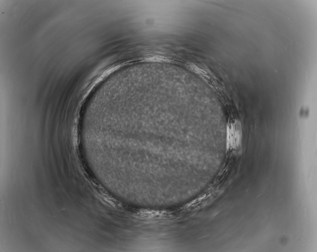 X0000098230291200805081229