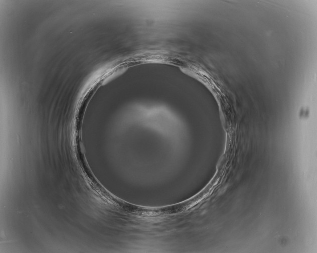 X0000098230293200805081229